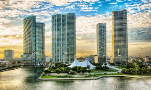 We're Heading to Miami for the Pitbull Conference!