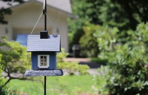 blue birdhouse