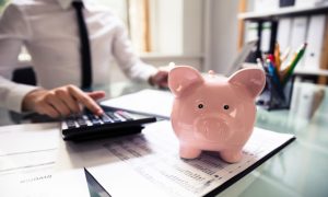 Investor Costs and Fees