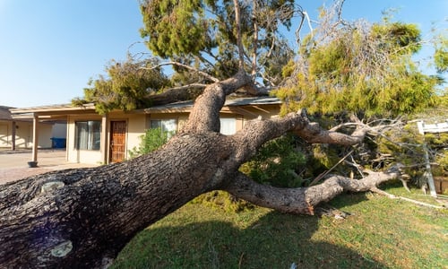 How to Protect Your Client’s Real Estate Investments from Natural Disasters
